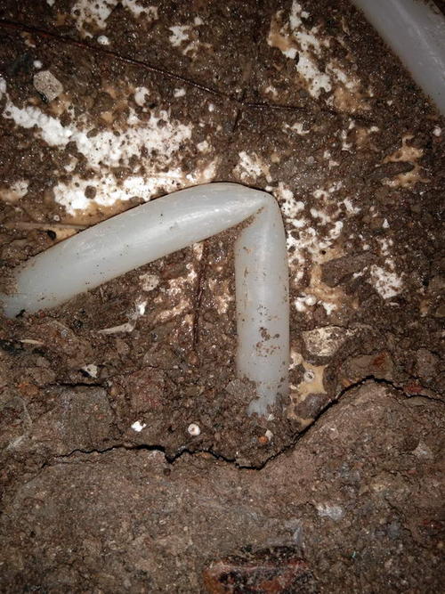 肃南堵点精准查找